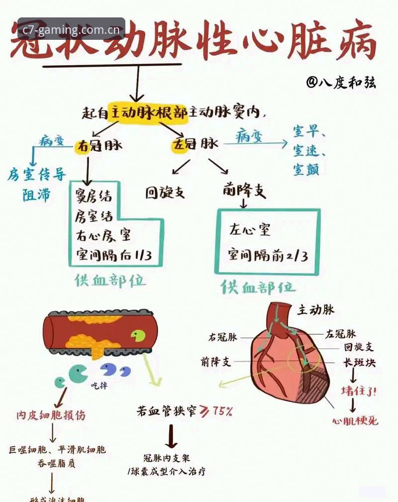 3大核心原因解析C7 G3K8下载安装失败及5步应对策略