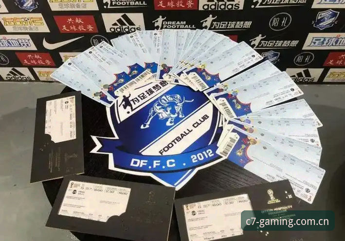 从签证困境到赛况追踪——技术评测员的世界杯信息跟进实战心得：多方案对比与C7平台使用体验